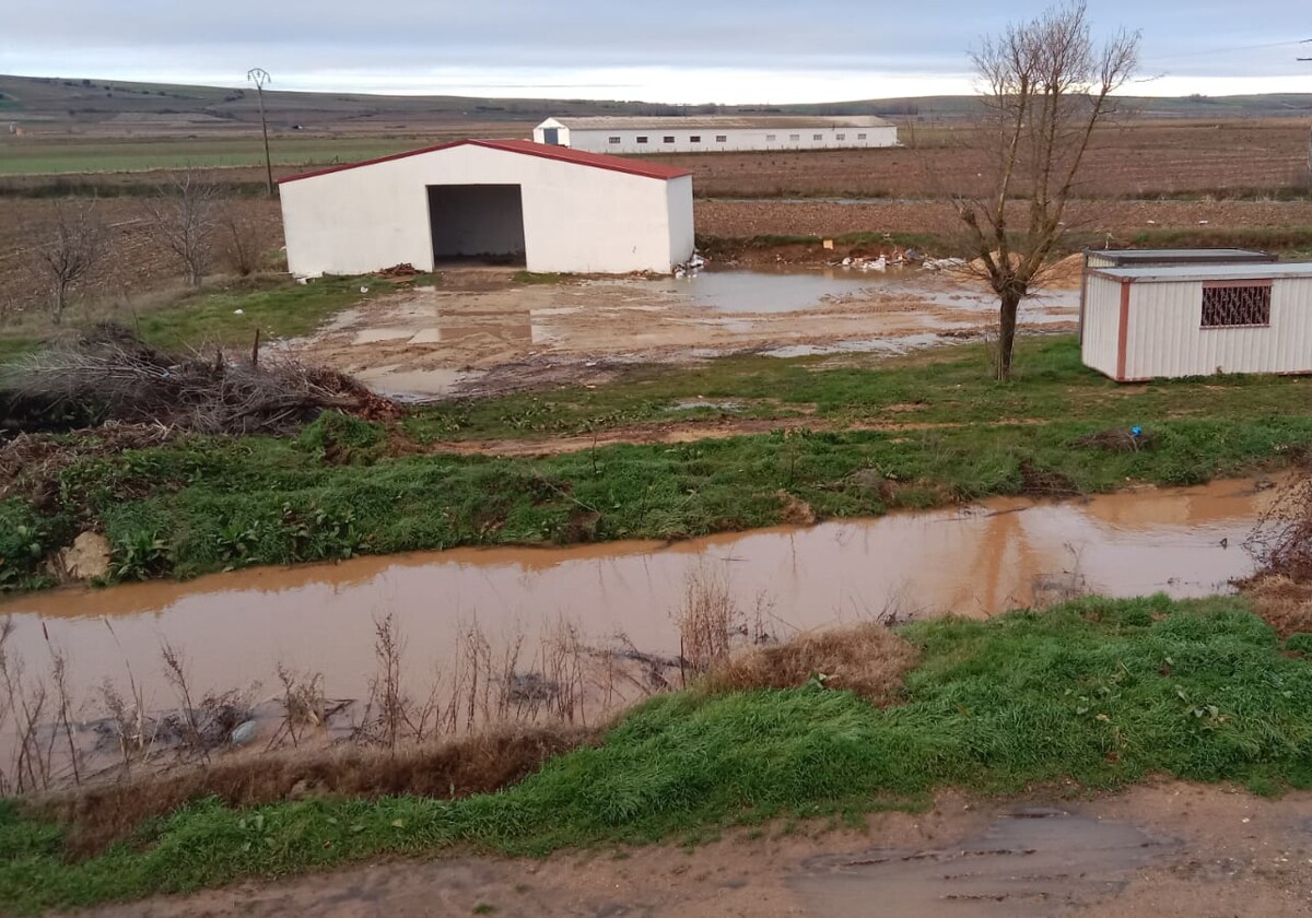 Quejas Vecinales Por La Falta De Limpieza Del Caño De Babilafuente | La ...